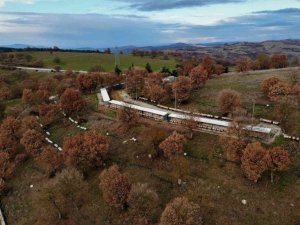 Balın kraliçeleri sezona hazırlanıyor