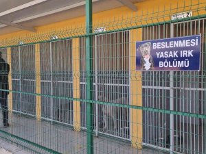 Yasaklı hayvanlar bu merkezdeki özel bölümde rehabilite ediliyor