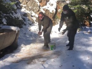 Yaban hayvanlarının yaşam alanlarına yem bırakıldı