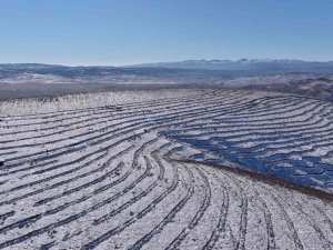 Bingöl’de 210 bin adet fidan toprakla buluştu