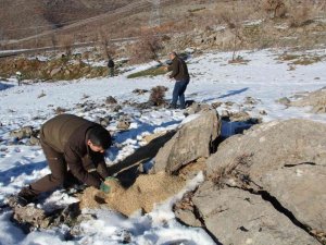Yaban hayvanları için doğaya yem servisi yapıldı