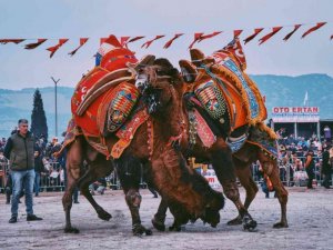 Deveci Başkan’dan yeni yılın ilk deve güreşine davet