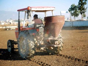 Aydın Büyükşehir Belediyesi arpa ekimine başladı