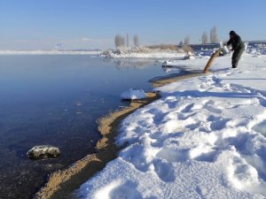 Van’da yaban hayvanlarına yem desteği