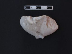 Bu mağarada çıkan bulguların tarihi Göbeklitepe’den daha eski