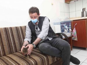 Bandırma Belediye Başkanı Tolga Tosun, " Bir Köpeğin yaptığı, tüm sokak dostlarımıza fatura edilemez"