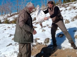 Elazığ’da yaban hayvanları için doğaya yem bırakıldı
