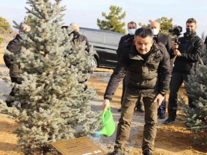 Bakan Pakdemirli, 252 milyonuncu fidanı toprakla buluşturarak can suyu verdi.