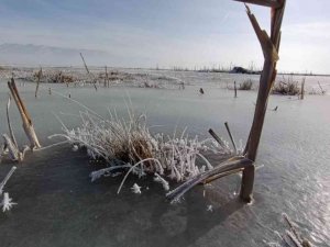 Erzurum’da buz kesen nehirlerde görsel şölen