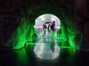 Keçiören’de öğrenciler su altı canlılarını Deniz Dünyası’nda öğreniyor