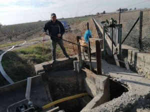 Kanala düşen köpeği belediye kurtardı