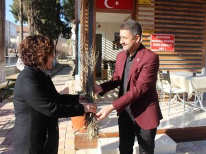 1 milyon adet orman ağacı fidanı toprakla buluşacak