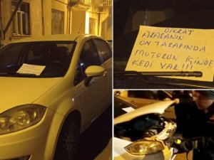Aracın motoruna sıkışan kedi itfaiye ekipleri tarafından kurtarıldı