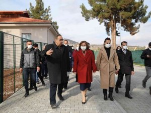 Türkiye’nin en büyük hayvan barınağının yapımı tamamlandı