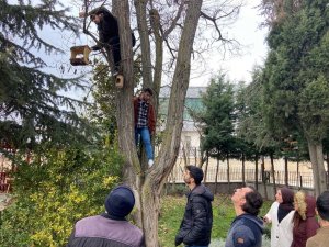 Üniversiteliler kuşları bu kış aç bırakmayacak