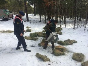 Kütahya’da yaban hayvanlarına yem bırakıldı