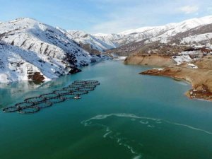 Erzincan’daki Göyne Sulama Barajı buzla kaplandı