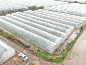 Metrekareye 180 kilogram yağış düştü, seraları su bastı