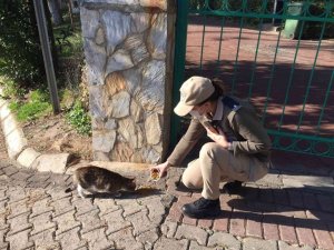 HAYDİ ekipleri sokak hayvanlarını unutmadı