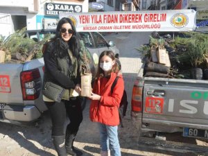 Tokat’ta yılbaşı öncesi bin adet fidan dağıtıldı