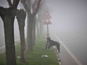 Manisa yeni yıla sis altında uyandı