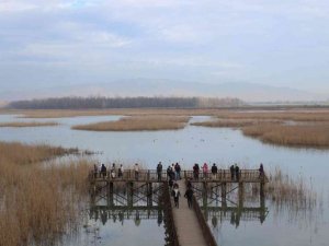 Yabancı öğrenciler Düzce’yi tanıyor