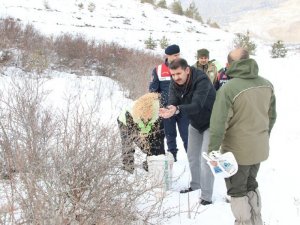 Vali yaban hayvanları için doğaya yem bıraktı