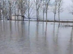 Meriç Nehri’nde taşkın alarmı: Köy halkı kayıkla geziyor