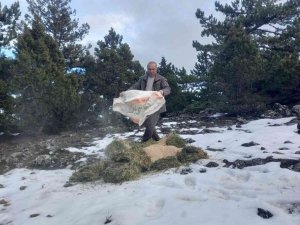 Ağır kış şartlarında doğadaki canlılar unutulmadı
