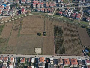 Türkiye’nin ilk “meyve” temalı millet bahçesi Yalova’da yapılıyor