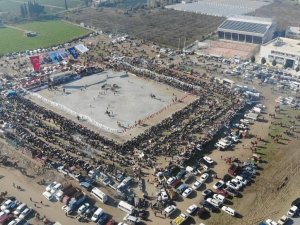 Yılın ilk deve güreşi İncirliova’da yapıldı