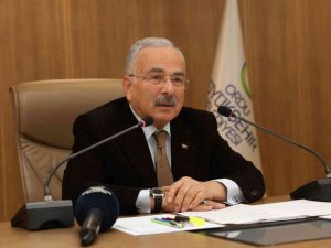 Ordu’da sokak hayvanları için yeni kararlar alındı