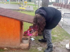 Öğrenciler sokak hayvanlarını besledi