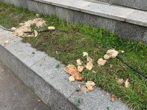 Hem çevre kirliliği oluşturuyor hem de hayvan sağlığını tehdit ediyor