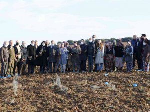 Troya Ören Yeri’ne gelen yerli ve yabancı turistleri lavanta tarlaları karşılayacak