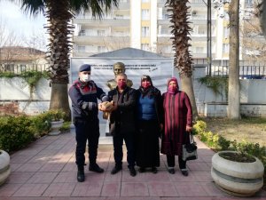 Yaralı bulunan şahin tedavi altına alındı