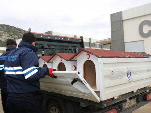 Sokak hayvanları için proje ürettiler