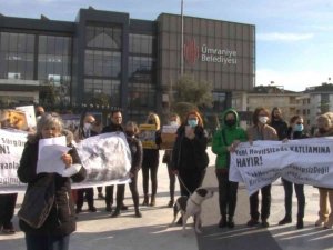 Ümraniye Belediyesi önünde hayvan hakları eylemi