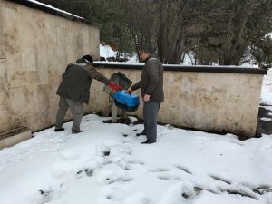 Şehitlikte yaralı halde bulunan tilki tedavi altına alındı