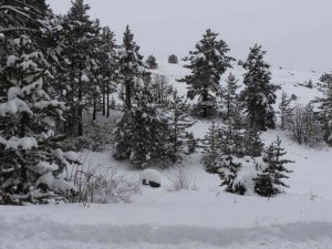 Havalar ısınıyor, kar erimesi ve çığ riskine dikkat!