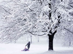 Washington DC’ye yılın ilk karı düştü