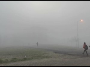 Tekirdağ’da yoğun sis etkili oluyor