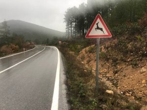 Yaban hayatı geliştirme sahasına ’Karaca çıkabilir’ levhası