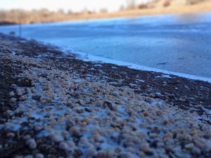 Elazığ’da Sülüklü Göl buz tuttu