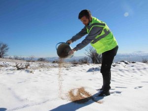 Elazığ’da sokak ve yaban hayvanları için 90 farklı noktaya yem bırakıldı
