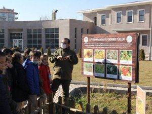 Öğrenciler endemik bitkileri merkezinde öğrendi
