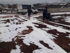 Bingöl Belediyesi  sokak hayvanlarını unutmadı