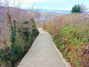 Altınordu’da beton yol çalışmaları sürüyor