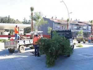 Marmaris’in kaldırımları yemyeşil oluyor