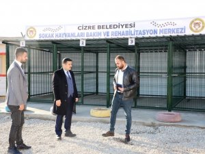 Cizre Belediyesinden sahipsiz hayvanlar için geçici bakımevi